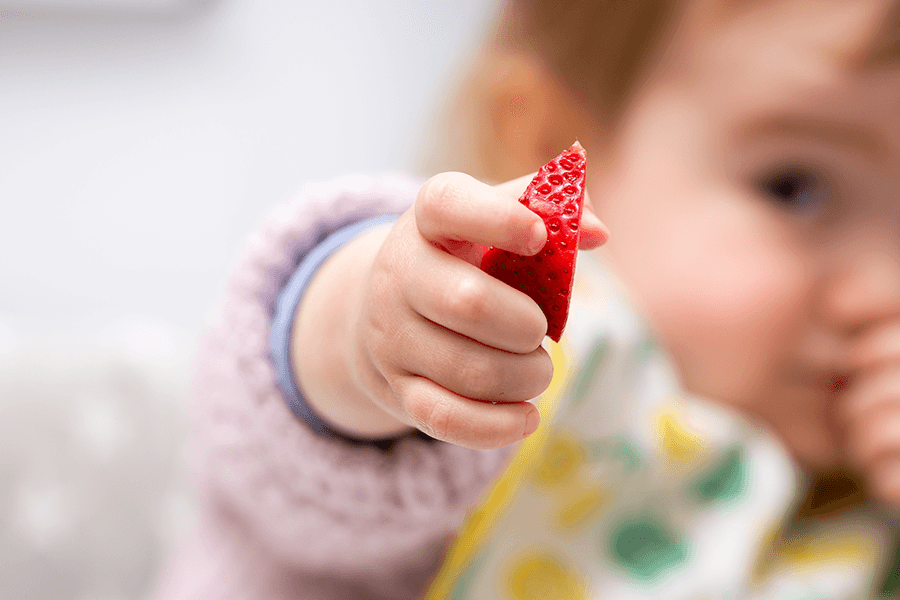 organic food_327694942