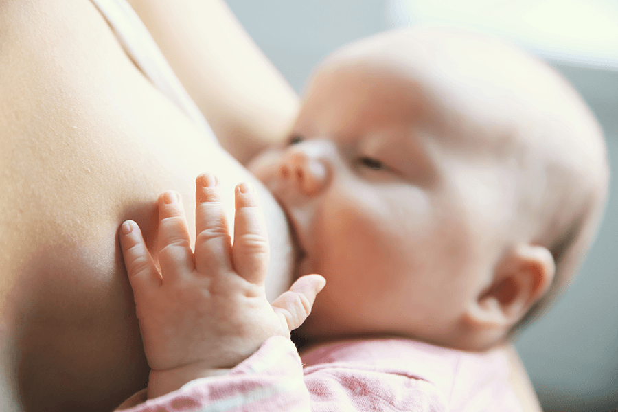 gravid ammar_178884516